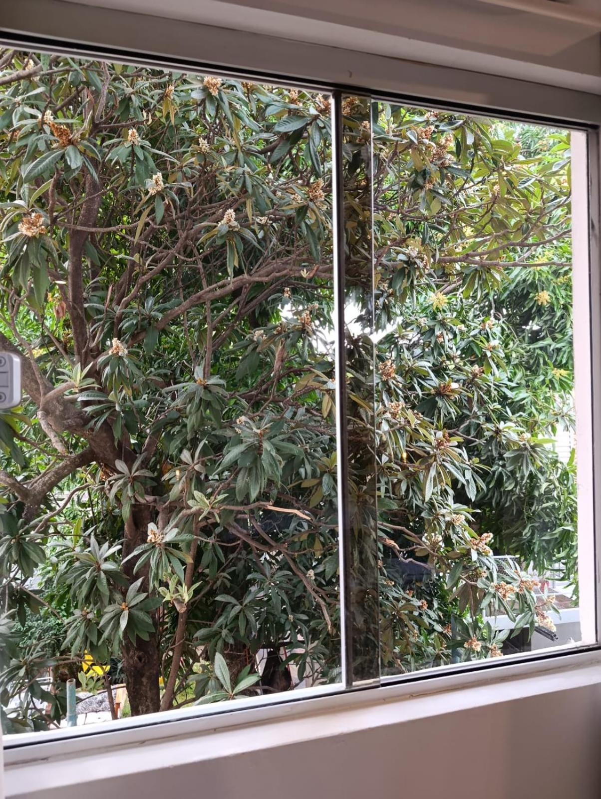 Appartement Taguato à Asuncion Extérieur photo